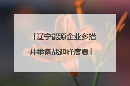 辽宁能源企业多措并举备战迎峰度夏