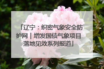 辽宁：织密气象安全防护网｜增发国债气象项目落地见效系列报道