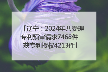 辽宁：2024年共受理专利预审请求7468件 获专利授权4213件