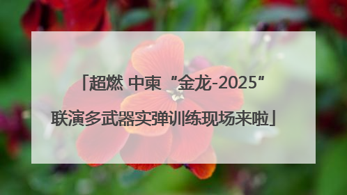 超燃 中柬“金龙-2025”联演多武器实弹训练现场来啦