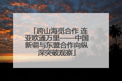 跨山海觅合作 连亚欧通万里——中国新疆与东盟合作向纵深突破观察