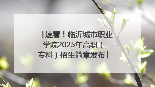速看！临沂城市职业学院2025年高职（专科）招生简章发布