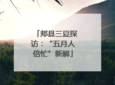 郏县三夏探访：“五月人倍忙”新解