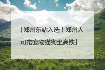 郑州东站入选！郑州人可带宠物猫狗坐高铁
