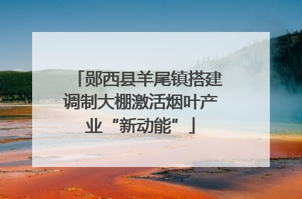 郧西县羊尾镇搭建调制大棚激活烟叶产业“新动能”