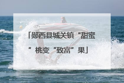 郧西县城关镇“甜蜜”桃变“致富”果