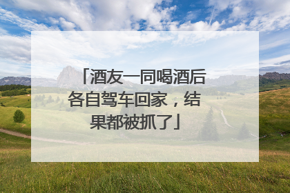 酒友一同喝酒后各自驾车回家，结果都被抓了