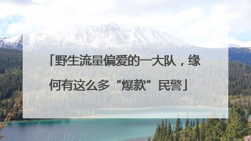 野生流量偏爱的一大队，缘何有这么多“爆款”民警