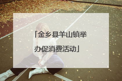 金乡县羊山镇举办促消费活动