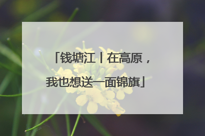 钱塘江丨在高原，我也想送一面锦旗