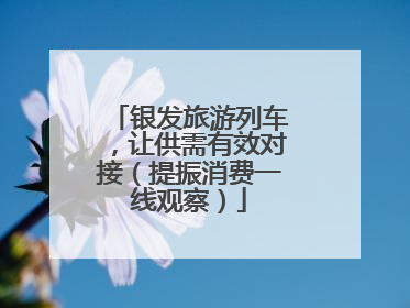 银发旅游列车，让供需有效对接（提振消费一线观察）