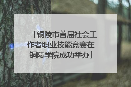 铜陵市首届社会工作者职业技能竞赛在铜陵学院成功举办