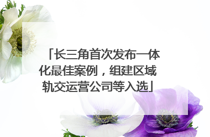 长三角首次发布一体化最佳案例，组建区域轨交运营公司等入选