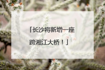 长沙将新增一座跨湘江大桥！