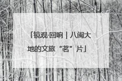 镜观·回响｜八闽大地的文旅“茗”片