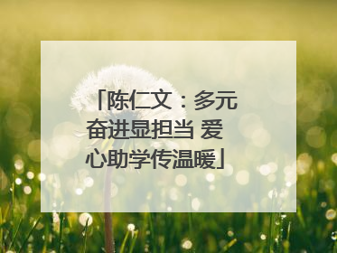陈仁文：多元奋进显担当 爱心助学传温暖