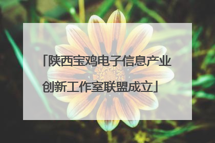 陕西宝鸡电子信息产业创新工作室联盟成立