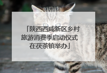 陕西西咸新区乡村旅游消费季启动仪式在茯茶镇举办