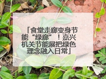食堂走廊变身节能“绿廊”！嘉兴机关节能展把绿色理念融入日常