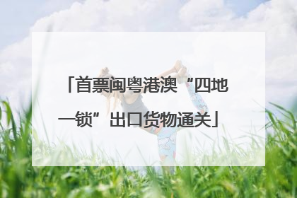 首票闽粤港澳“四地一锁”出口货物通关