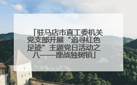 驻马店市直工委机关党支部开展“追寻红色足迹”主题党日活动之八——鏖战独树镇