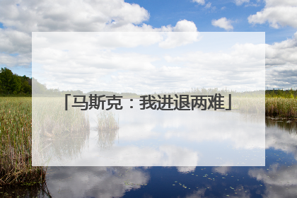马斯克：我进退两难