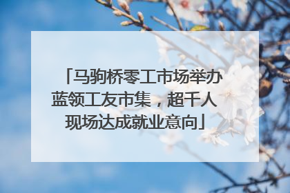 马驹桥零工市场举办蓝领工友市集，超千人现场达成就业意向