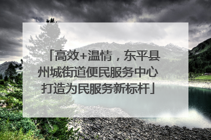 高效+温情，东平县州城街道便民服务中心打造为民服务新标杆