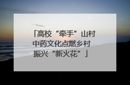 高校“牵手”山村 中药文化点燃乡村振兴“新火花”