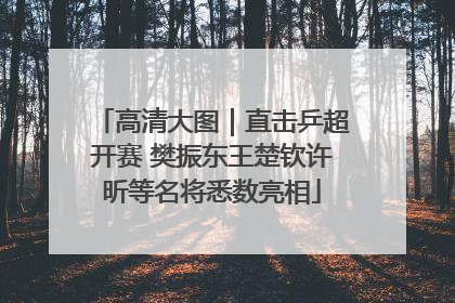 高清大图｜直击乒超开赛 樊振东王楚钦许昕等名将悉数亮相