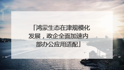 鸿蒙生态在津规模化发展，政企全面加速内部办公应用适配