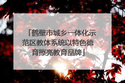 鹤壁市城乡一体化示范区教体系统以特色德育擦亮教育品牌