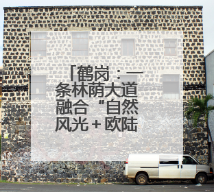 鹤岗：一条林荫大道融合“自然风光＋欧陆风情”成热门打卡地