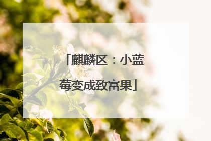 麒麟区：小蓝莓变成致富果