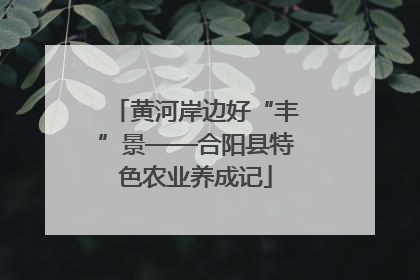 黄河岸边好“丰”景——合阳县特色农业养成记