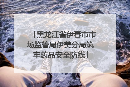 黑龙江省伊春市市场监管局伊美分局筑牢药品安全防线