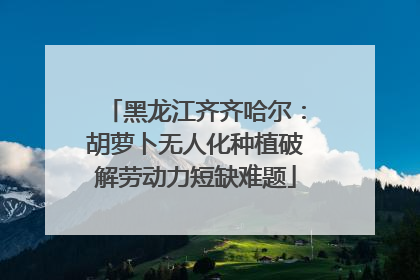 黑龙江齐齐哈尔：胡萝卜无人化种植破解劳动力短缺难题