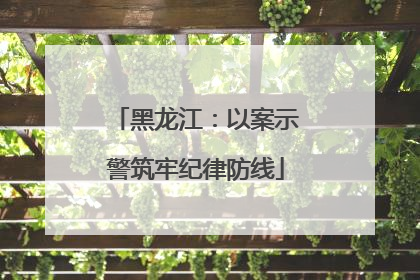 黑龙江：以案示警筑牢纪律防线