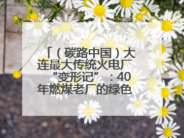 （碳路中国）大连最大传统火电厂“变形记”：40年燃煤老厂的绿色转型之路