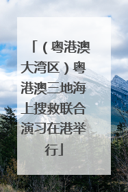 （粤港澳大湾区）粤港澳三地海上搜救联合演习在港举行