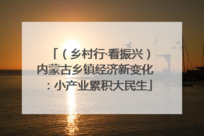 (乡村行·看振兴)内蒙古乡镇经济新变化:小产业累积大民生