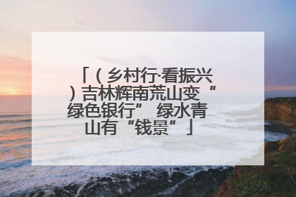 （乡村行·看振兴）吉林辉南荒山变“绿色银行” 绿水青山有“钱景”