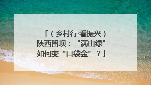 （乡村行·看振兴）陕西留坝：“满山绿”如何变“口袋金”？