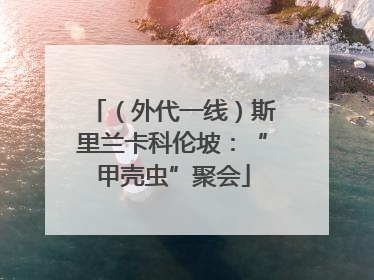 （外代一线）斯里兰卡科伦坡：“甲壳虫”聚会