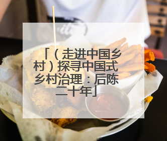 （走进中国乡村）探寻中国式乡村治理：后陈二十年