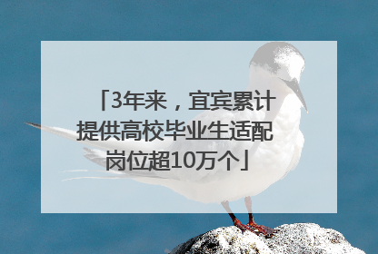 3年来，宜宾累计提供高校毕业生适配岗位超10万个