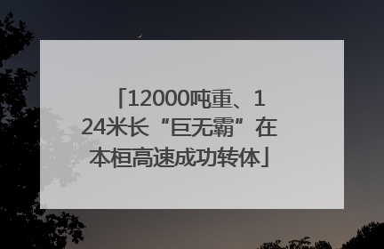 12000吨重、124米长“巨无霸”在本桓高速成功转体