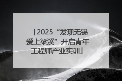 2025“发现无锡 爱上梁溪”开启青年工程师产业实训