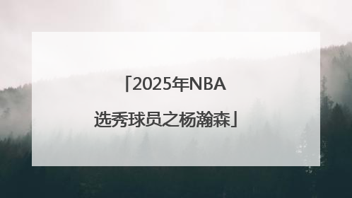 2025年NBA选秀球员之杨瀚森