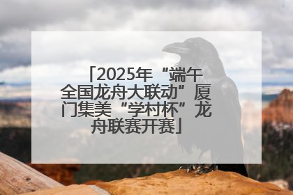2025年“端午全国龙舟大联动”厦门集美“学村杯”龙舟联赛开赛